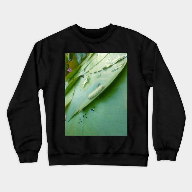 Caterpillar on Waterlily V2 Crewneck Sweatshirt by SomewhereHere